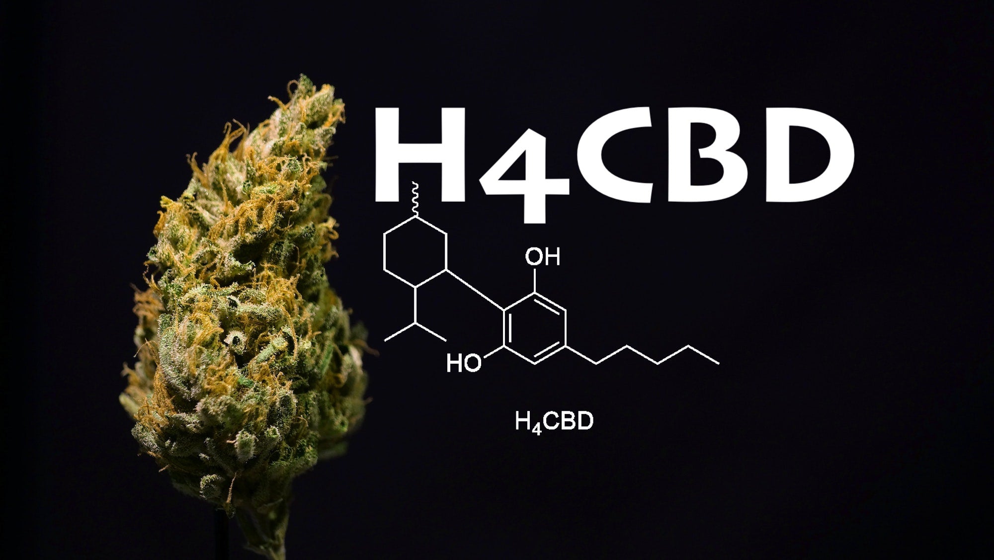 Que savoir sur le H4CBD ?