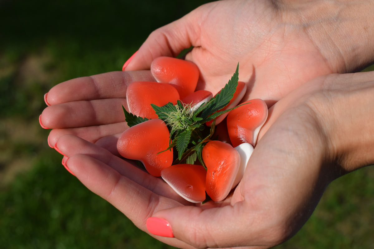 Les gummies HHC et CBD c’est quoi ?