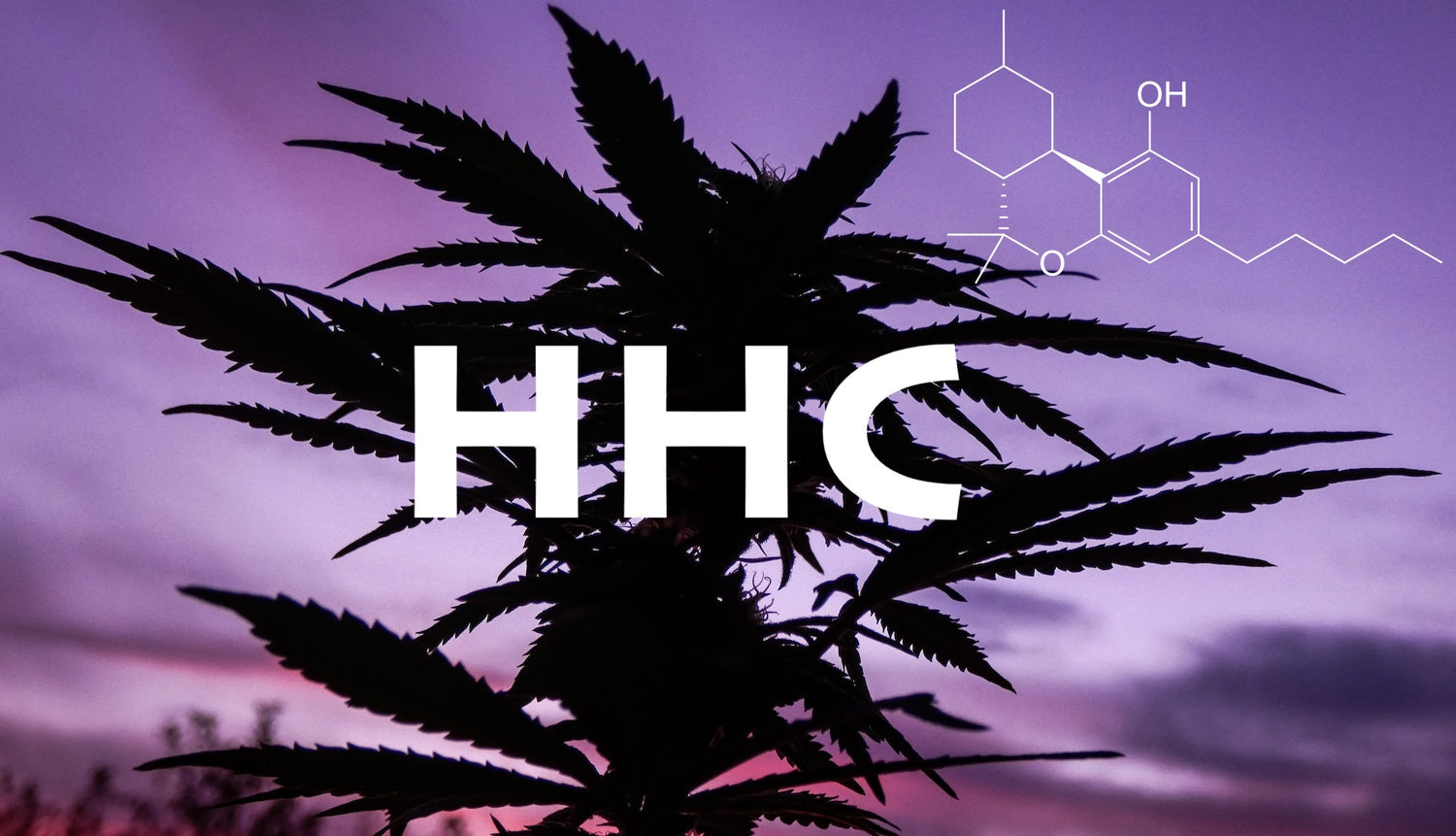 Les bienfaits de l’huile de HHC