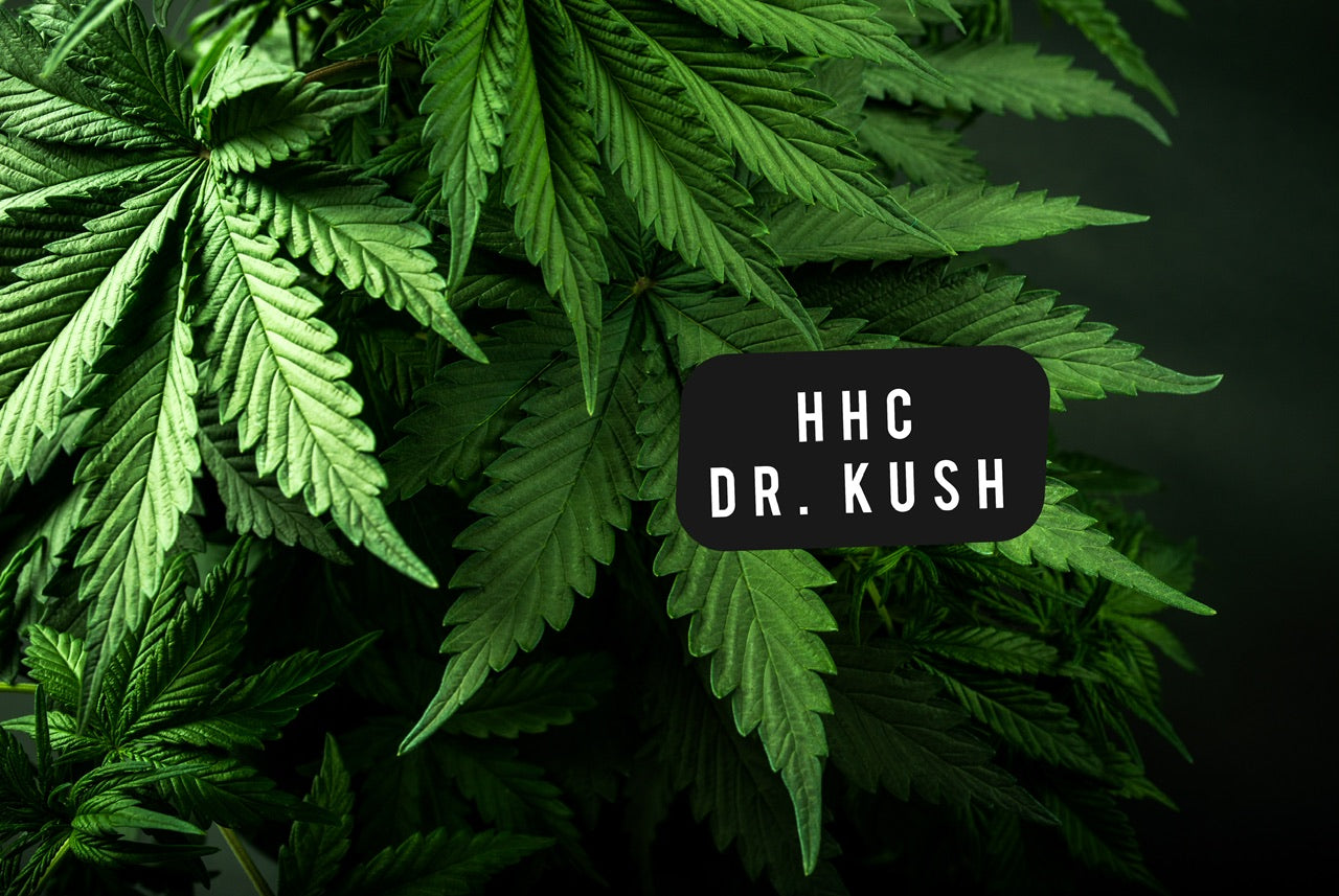 HHC, Molécule hybride : Tout ce qu'il faut savoir pour optimiser sa consommation