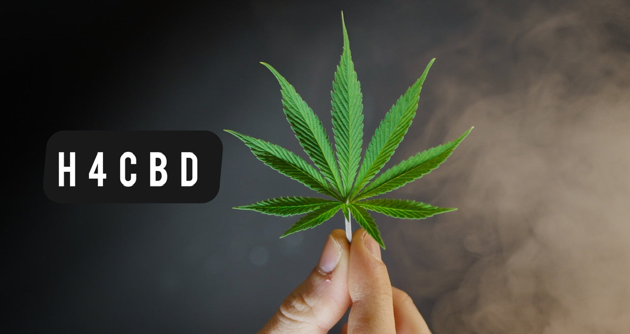 Quelle est la réglementation du H4CBD ?