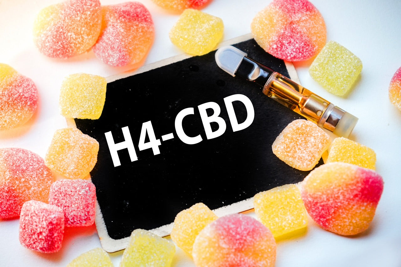 Quelle est la différence entre le H4CBD et le CBD ?