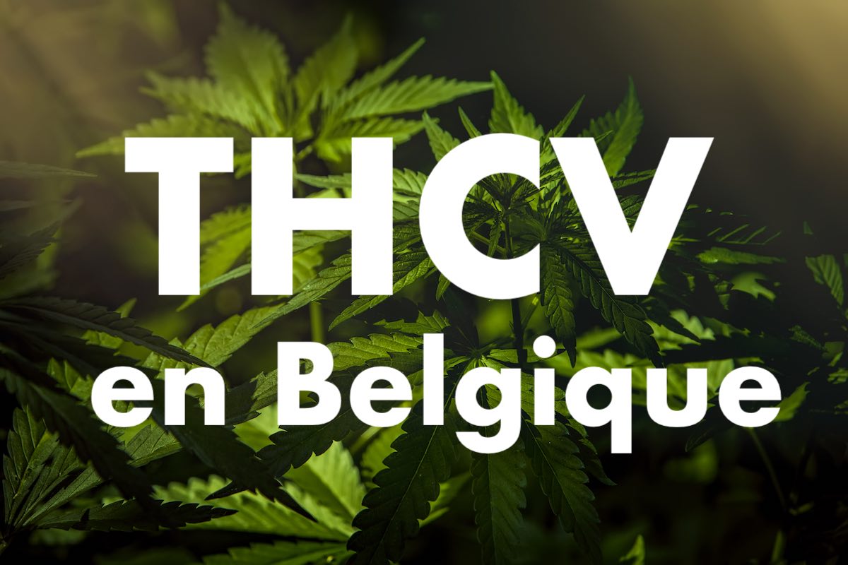 Découvrez le THCV sous toutes ses formes : Un aperçu des produits disponibles, disposable, cartouche dab pen, fleurs , résine & gummies