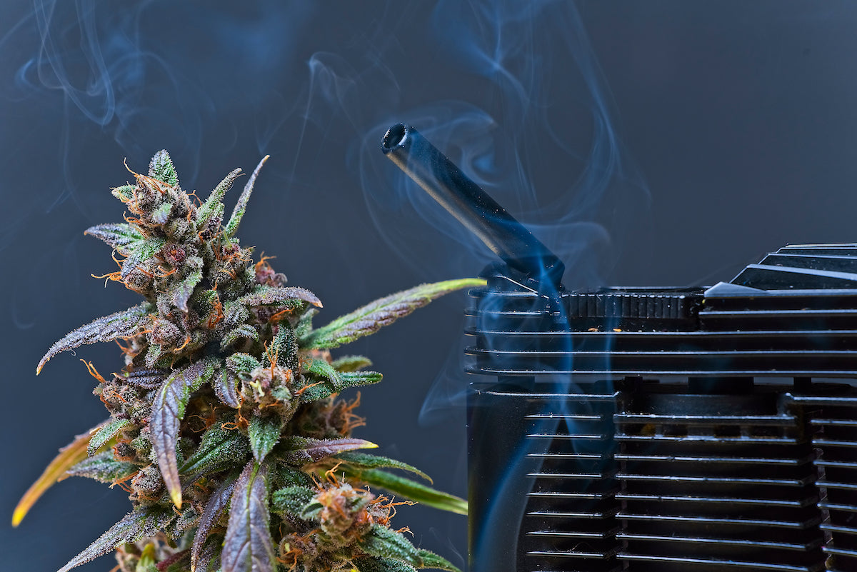 Vaporisateur : à herbe séchées, d’e-liquide et de cbd concentrés quelle est la différence ?