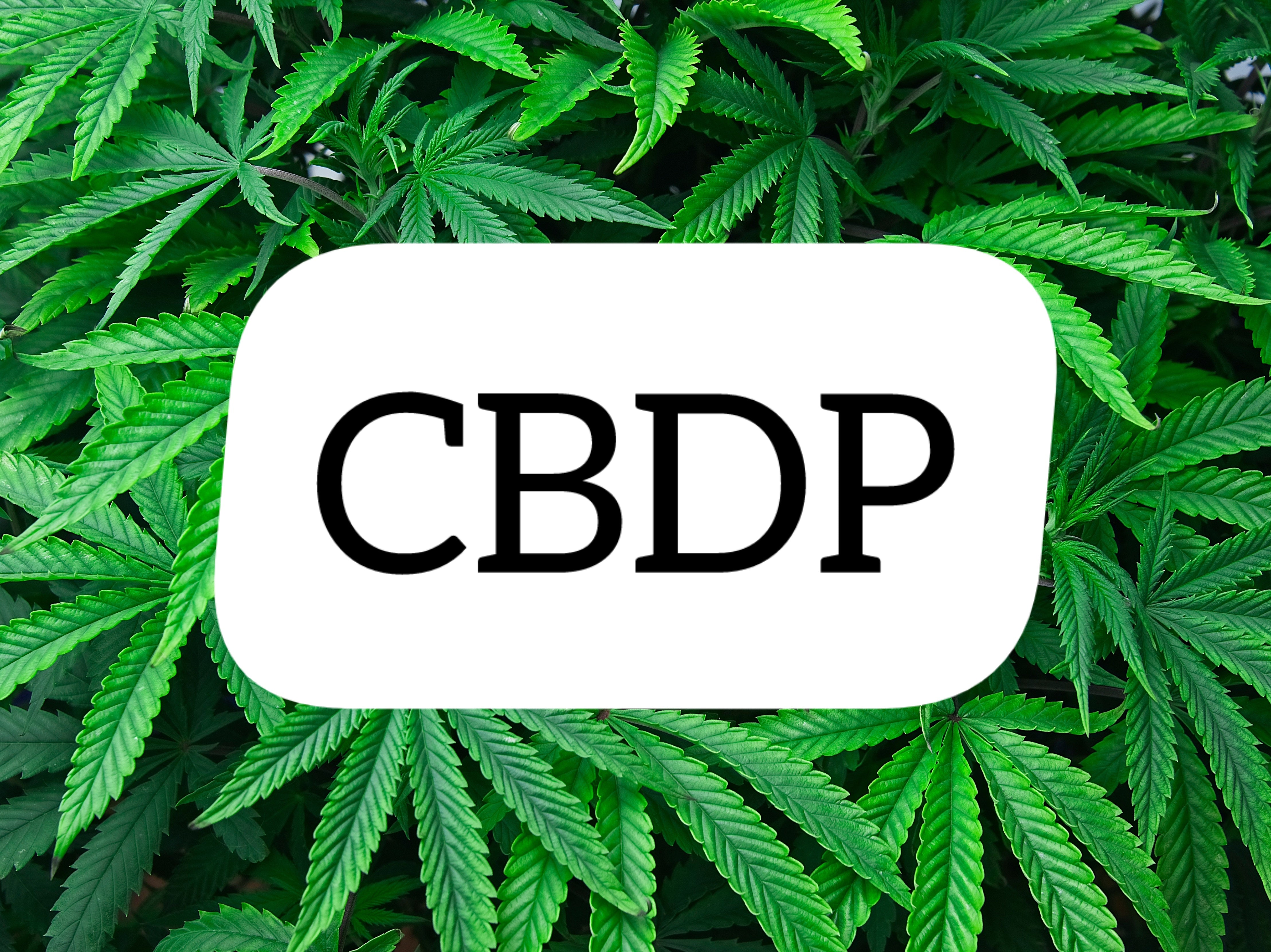 Le CBDP : Une Nouvelle Ère dans la Science des Cannabinoïdes
