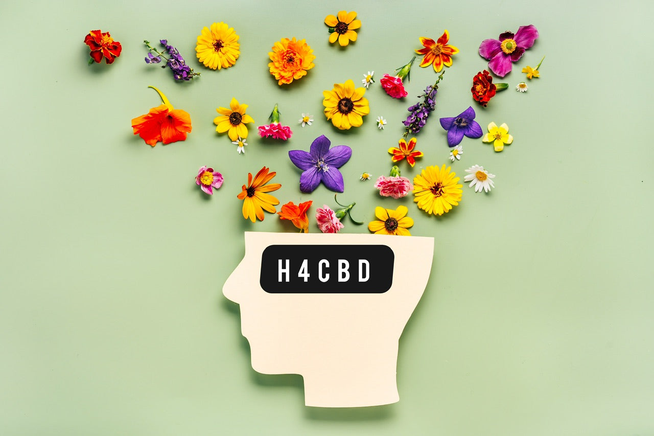 L’hexahydrocannabidiol (H4CBD) et son impact sur la santé mentale