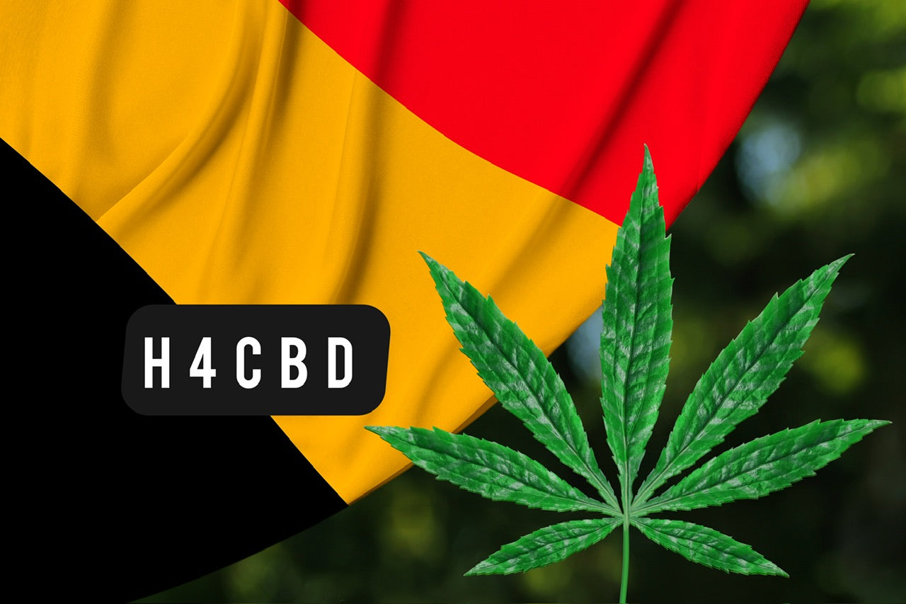 Comment trouver les meilleurs produits H4CBD en Belgique ?