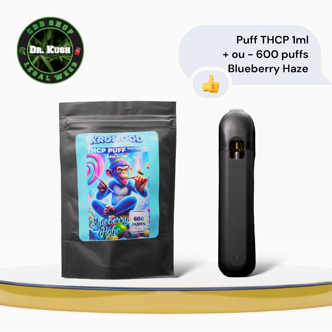 Puff THCP - Blueberry Haze - 1ML -600 Bouffée - KROMOOD