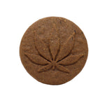 Euphoria - Cannabis Koekjes Hasj - 120gr