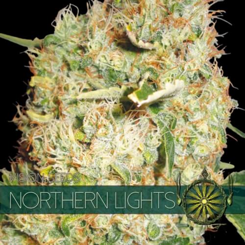 Northern Lights - 3 seeds