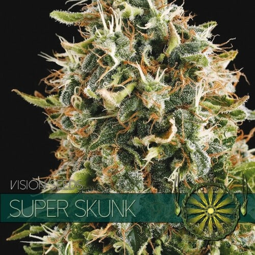 Super Skunk - 3 seeds